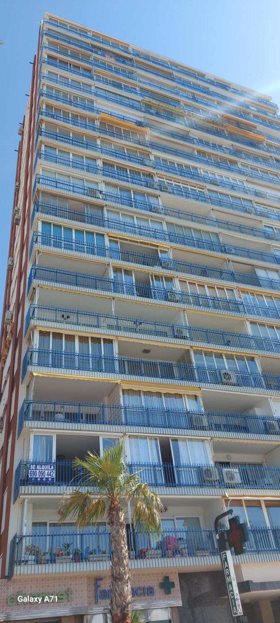Las Palmeras 1° Linea Playa 베니돔 외부 사진